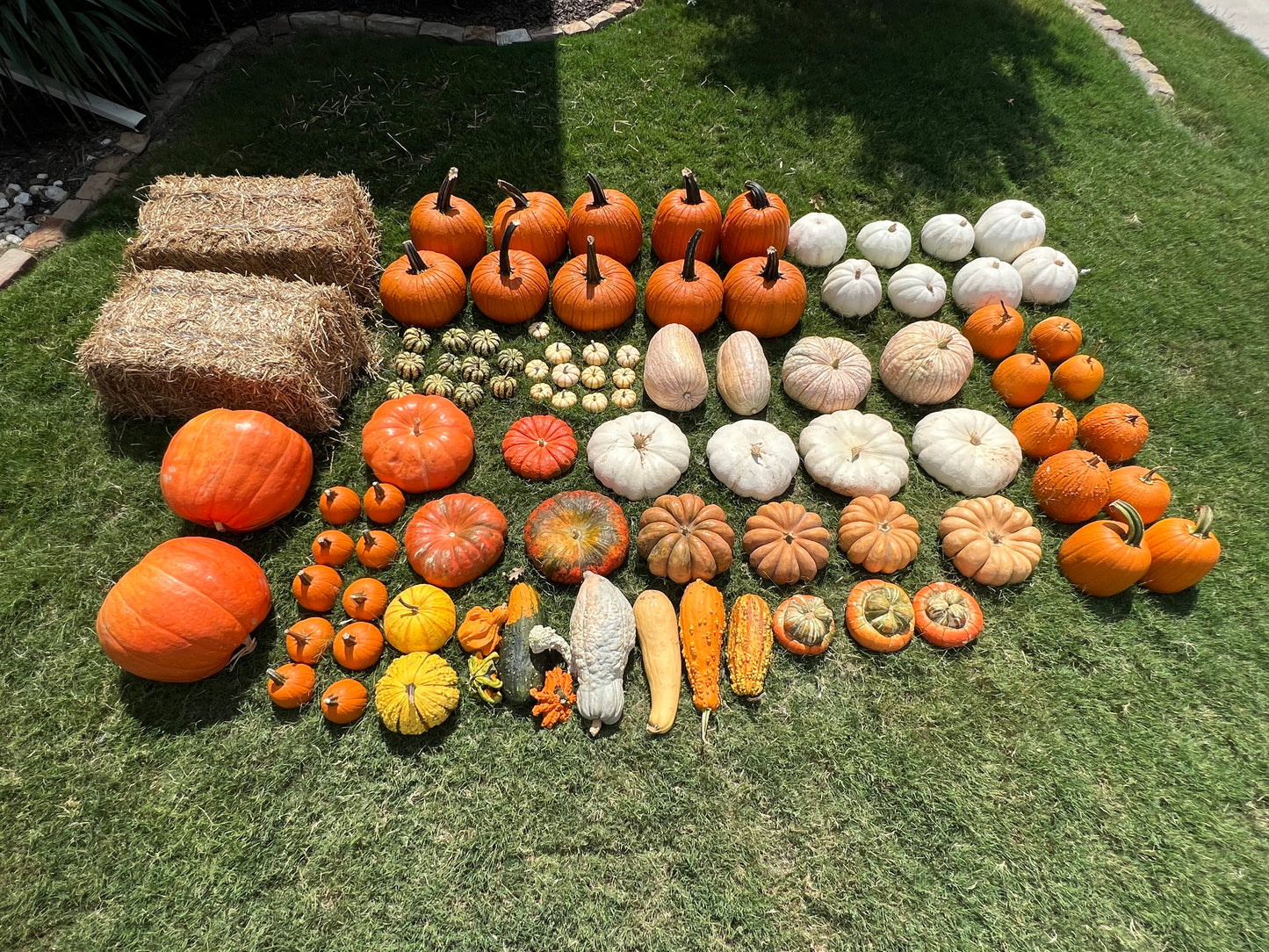 #1 BIG MAX Grand Package