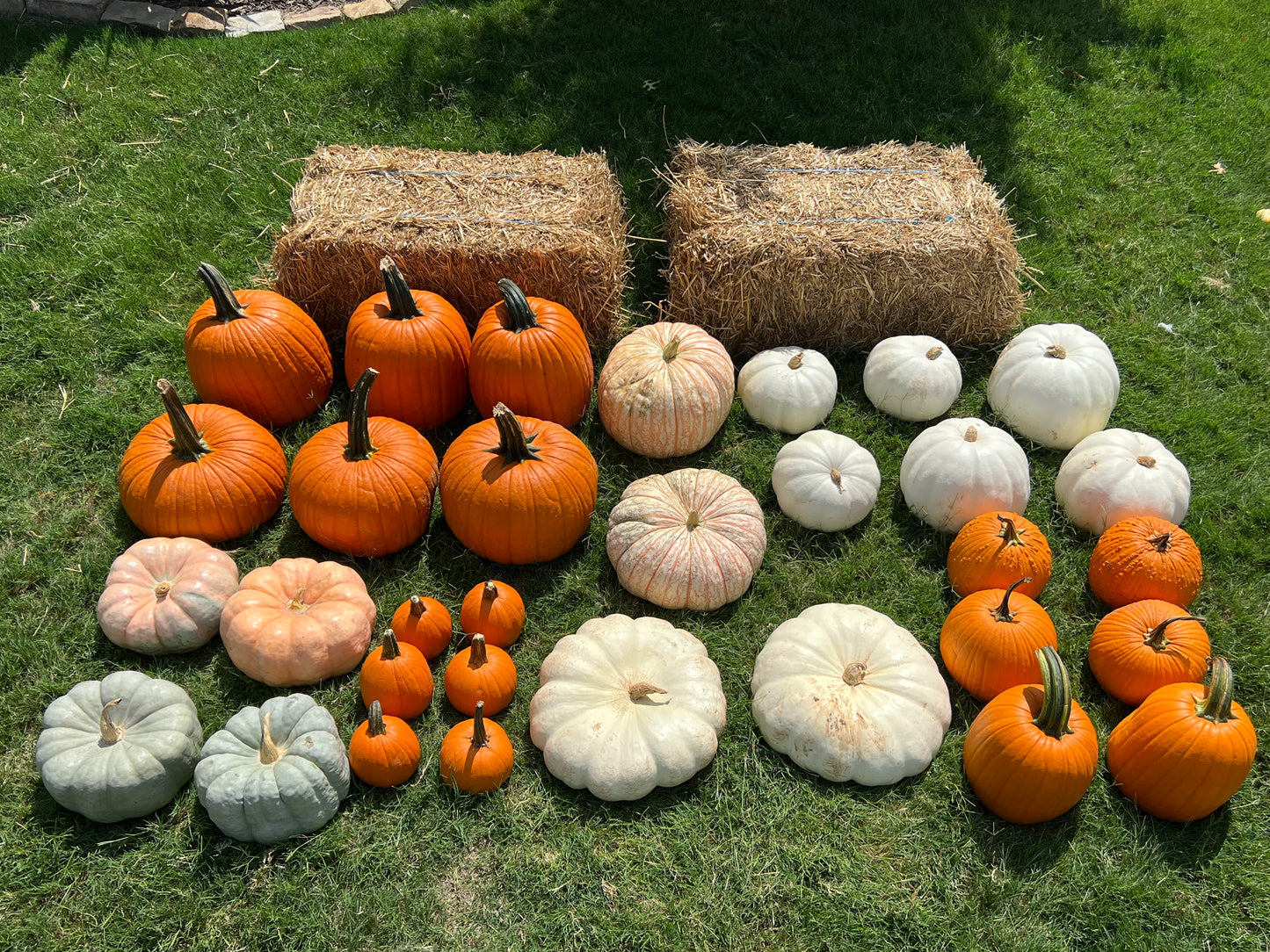 #4 Porch Pumpkin Package