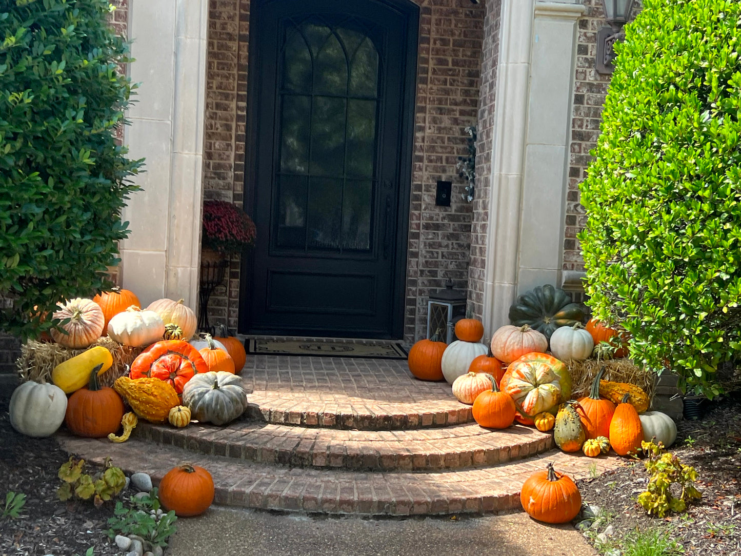 #3 Porch Pumpkin Package