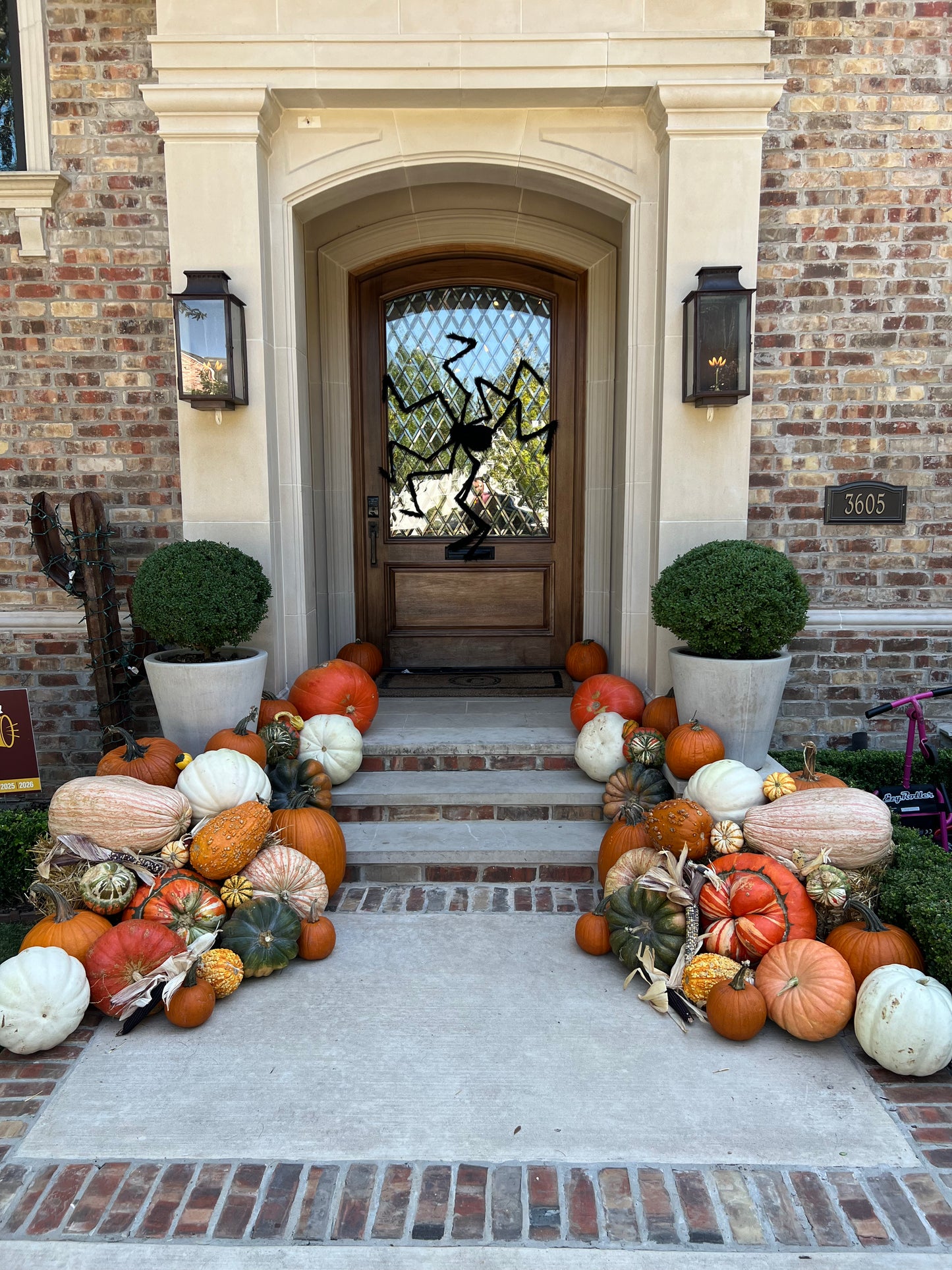 #2 The Pumpkin Lovers Package