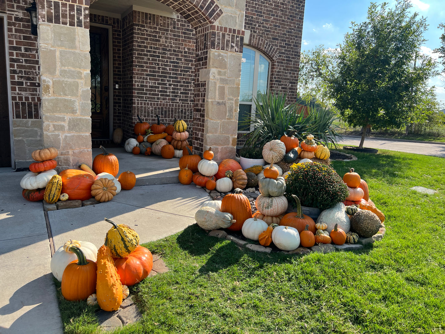 Design via The Pumpkin Guys