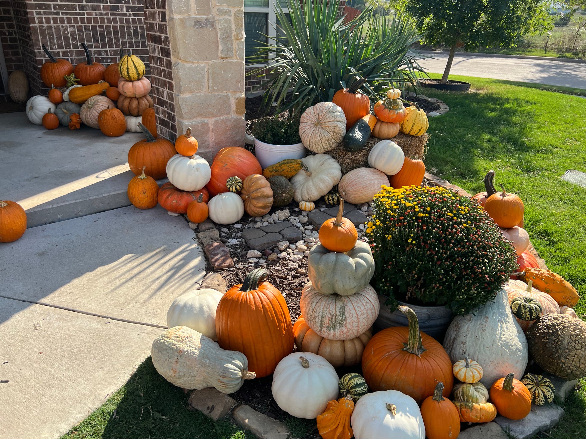 Decorative arrangement of pumpkins and gourds outside a house.