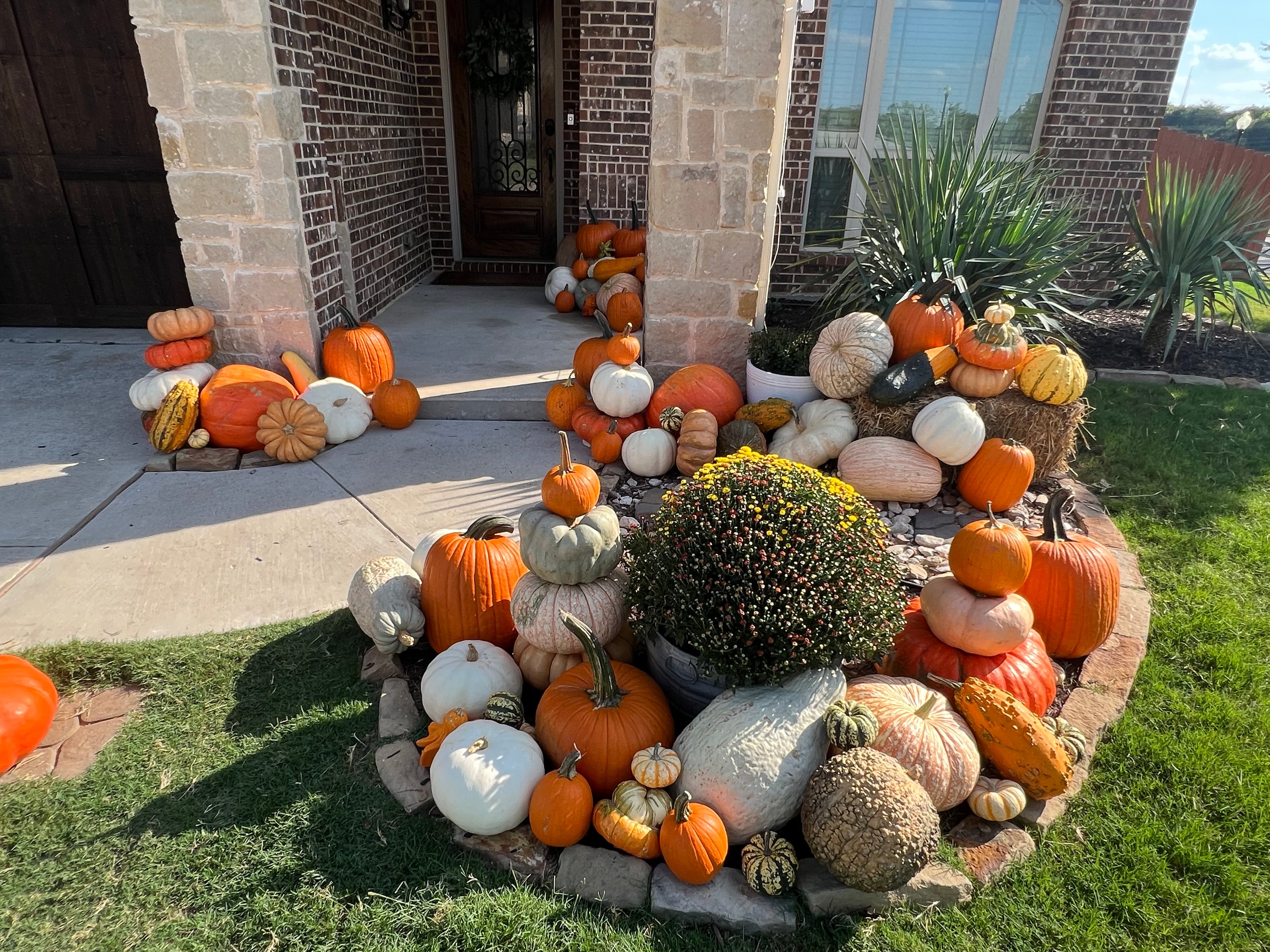 Decorative arrangement of pumpkins and gourds outside a house.