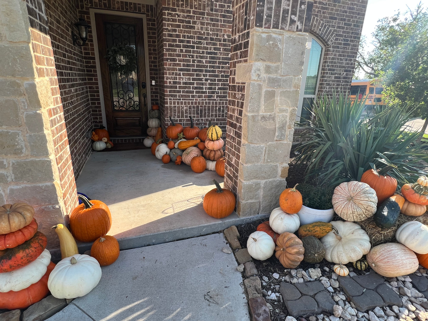 #2 The Pumpkin Lovers Package