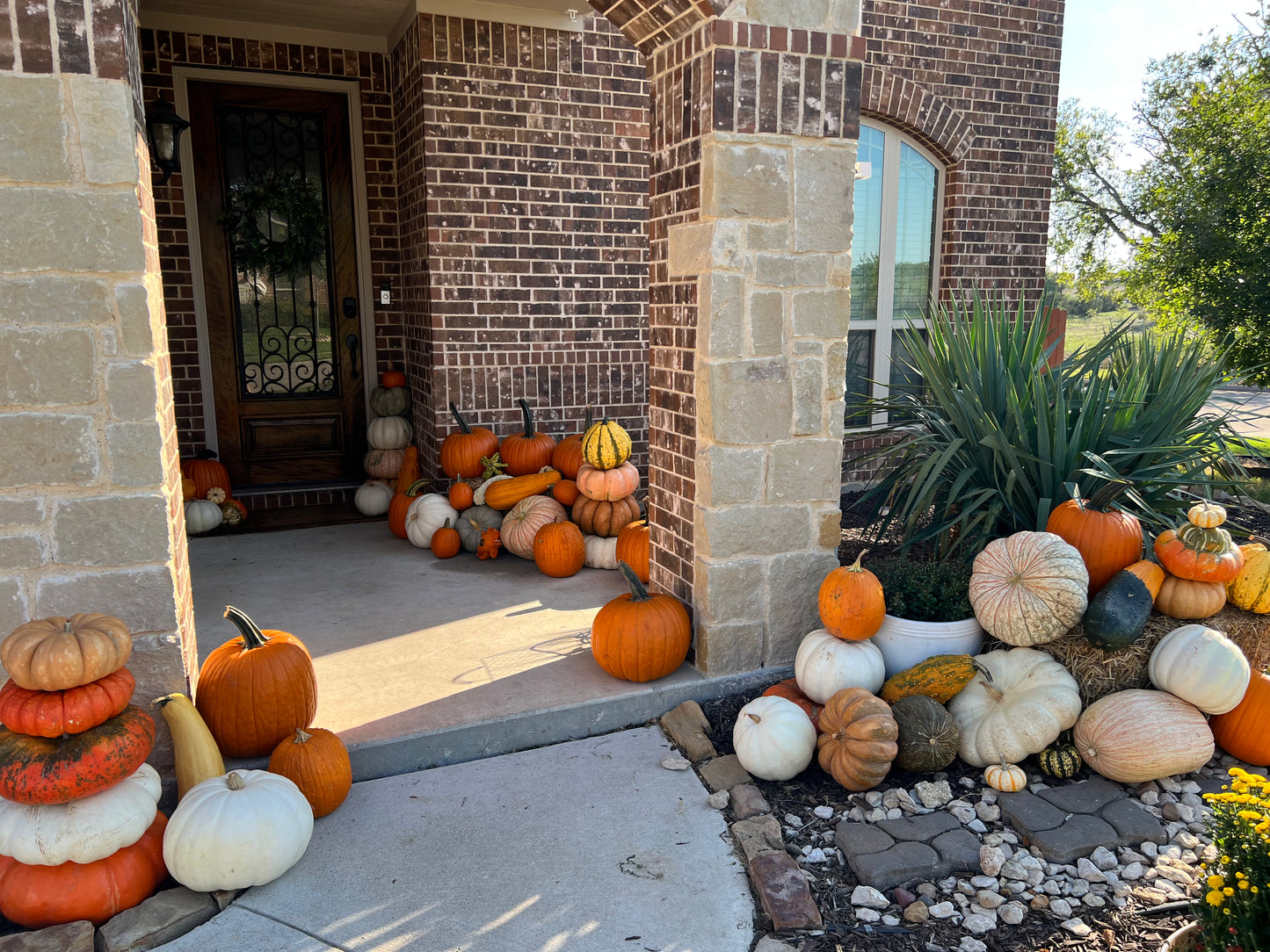 #2 The Pumpkin Lovers Package