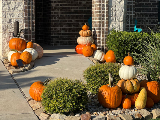 #5 Small Porch Pumpkin Package