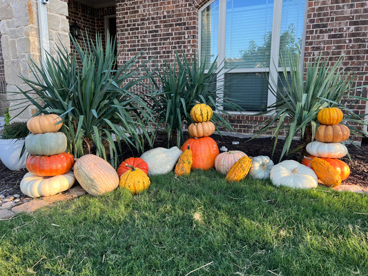 #3 The Specialty Pumpkin Package