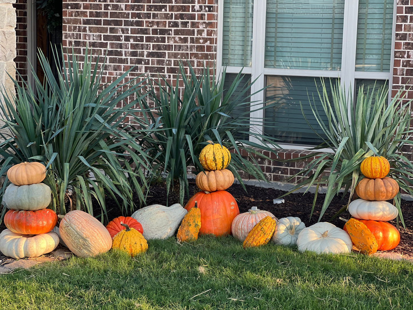 #3 The Specialty Pumpkin Package