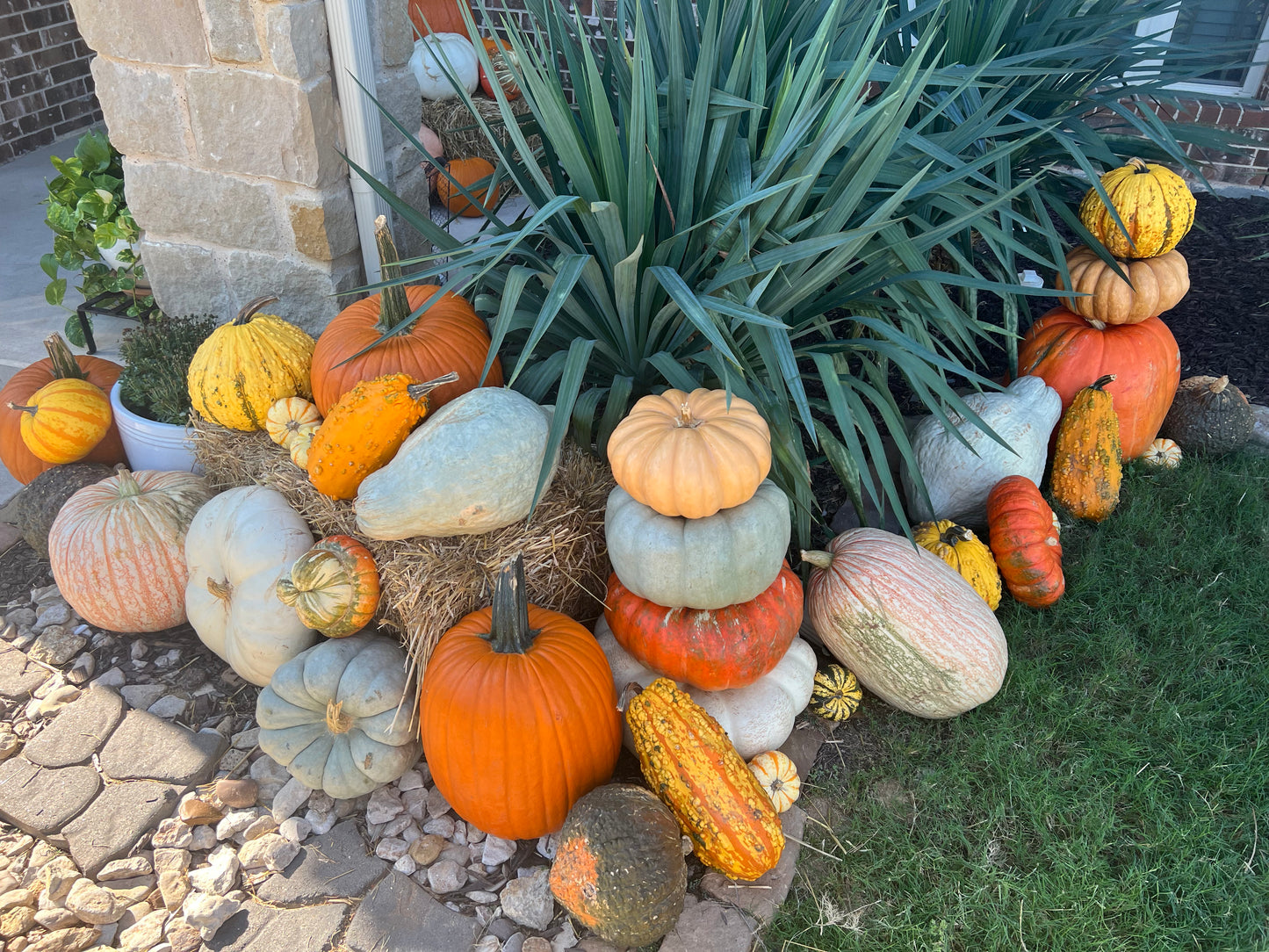 Assorted Gourds & Mini Pumpkins – Rustic Fall Accent