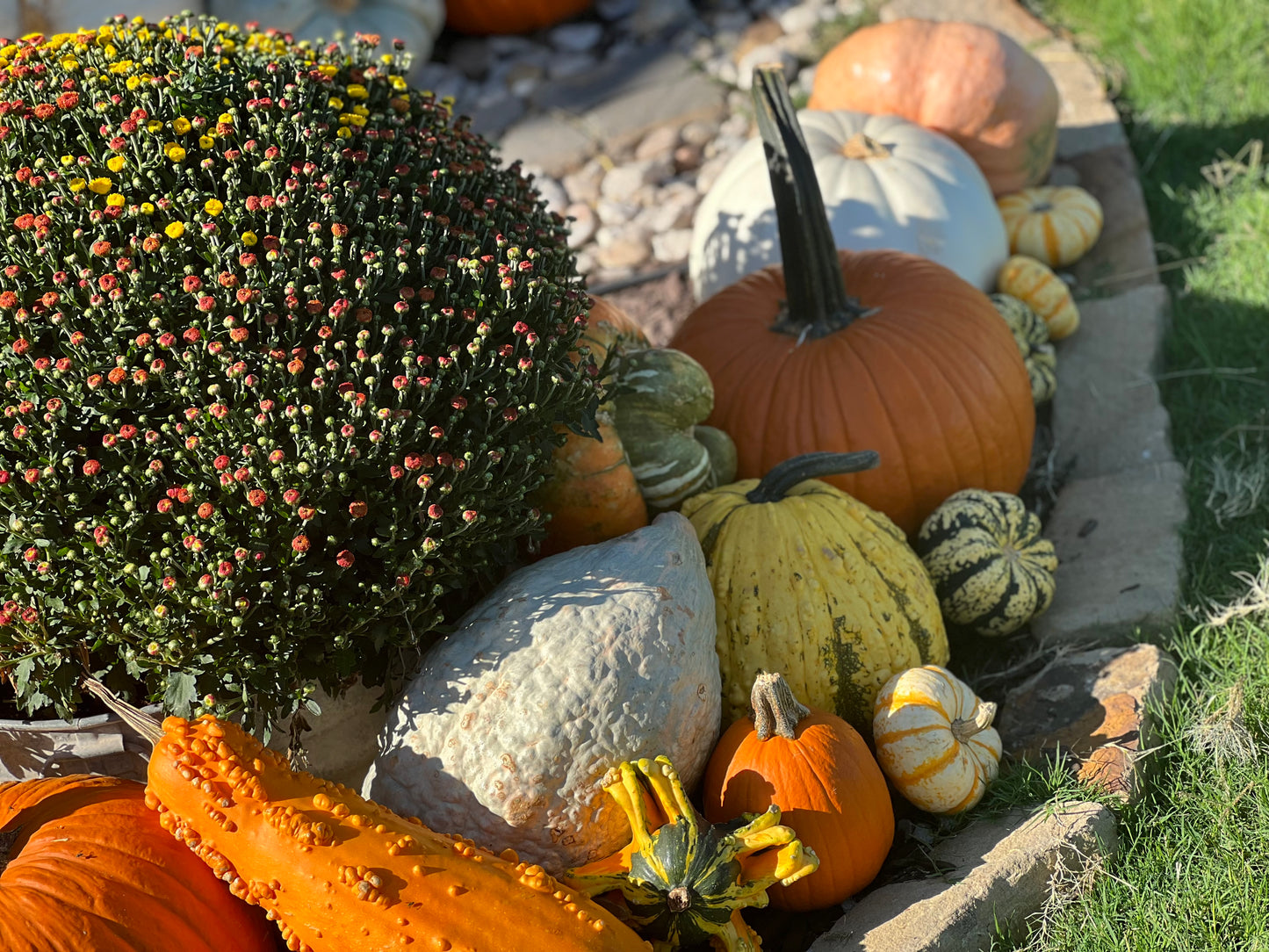 #3 The Specialty Pumpkin Package
