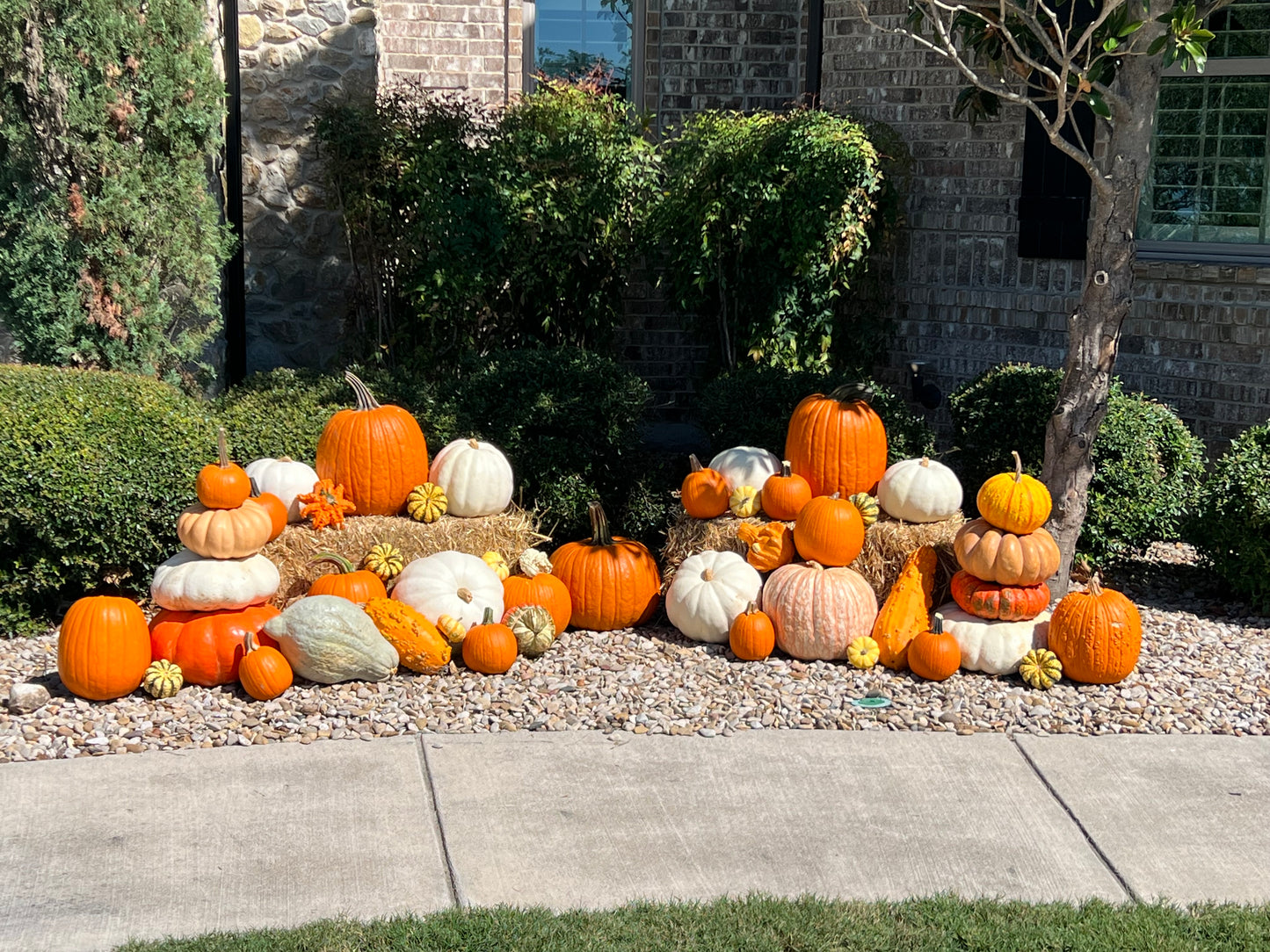 #4 Porch Pumpkin Package