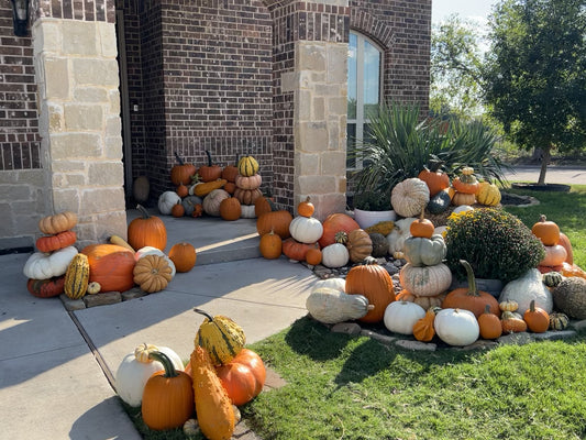 Design via The Pumpkin Guys